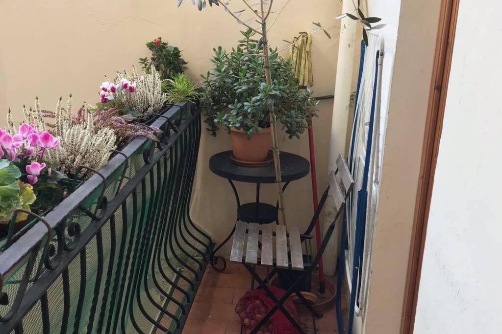 Deluxe In The Centre Of * Florence