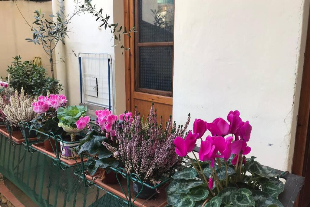 Apartment Deluxe In The Centre Of Florence